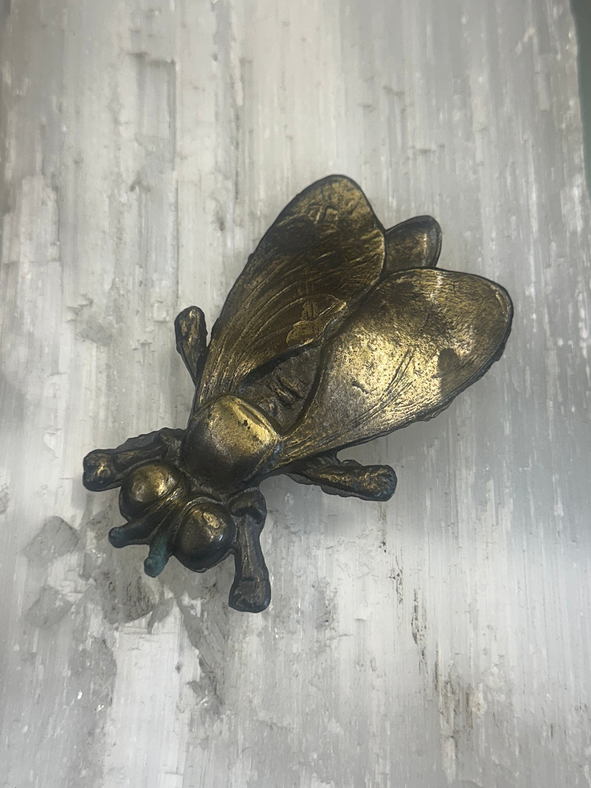 Vintage Horsefly Belt Buckle